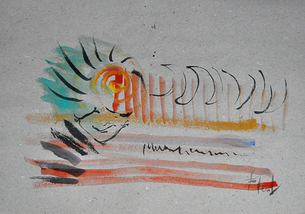 AMAZONIA, PREOCUPACIONES
